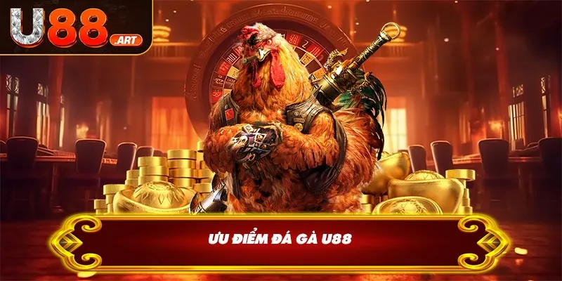 Ưu điểm đá gà U88